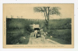 LUSIGNAN - Le CHemin Du Parc Et Le Viaduc Du Chemin De Fer Dit Des Treize Arches - Lusignan