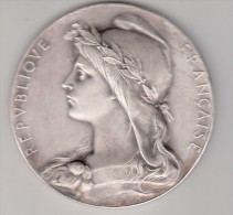 Médaille En Bronze Blanc - Société De Comptabilité De France - République Française - Graveur O. Roty - Professionnels / De Société