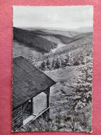 Deutch. , Cpsm  SEESEN/Harz , Blick Vom Hohestein  (319)Recto/Verso - Seesen