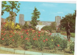 Frankfurt A.d. Oder - Botanischer Garten    -   Foto - Lehmann - Frankfurt A. D. Oder