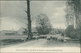 89 NEUVY SAUTOUR / Les Bords Du Créanton à Boulay-les-Belles-Fontain Es / - Neuvy Sautour