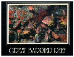 (PH 33) RTS Or DLO Postcard - Australia - QLD - Great Barrier Reef - Fish - Great Barrier Reef