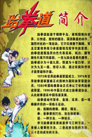 [ T06-019 ]   Taekwondo  ,  China Pre-stamped Card, Postal Stationery - Non Classificati