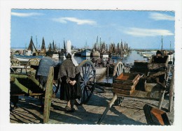 LESCONIL - Fin De Journée - Le Port - Lesconil