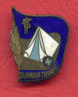 F2061 / JUNGER TOURIST - Ernst Thälmann Pioneer Organisation - DDR  Germany Deutschland Allemagne Germania - Badge Pin - Alpinismo, Escalada