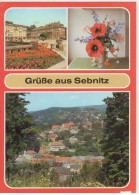 SACHS Schweiz Sebnitz Grusse Aus - Sebnitz
