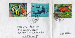 Afrique Du Sud: 2002 Belle Lettre Avec Série Poissons Des Coraux Et Requin Marteau - Brieven En Documenten