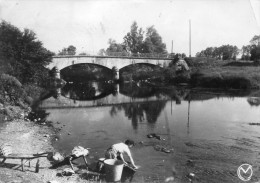 58 CPSM Tannay Le Pont Animée Lavandieres - Tannay