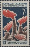 NOUVELLE-CALEDONIE Poste 322 ** MNH Aquarium Nouméa : Ascidies Polycarpa - Unused Stamps