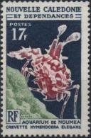 NOUVELLE-CALEDONIE Poste 324 ** MNH Aquarium Nouméa : Hymenocera Elegans - Unused Stamps