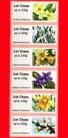 GB UK GRAN BRETAGNA - Nuovo - 2014 - Fiori - Spring Blooms  - BF - 6 Val. - Blocks & Miniature Sheets