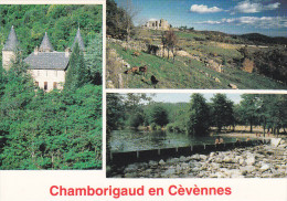 CHAMBORIGAUD (30) - Carte Multi-vues - Chamborigaud