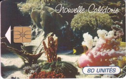 NOUVELLE CALEDONIE - 40 - EVASION SOUS-MARINE - Nouvelle-Calédonie