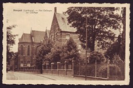 NEERPELT - Limbourg - Het Collegie - Le Collège // - Neerpelt