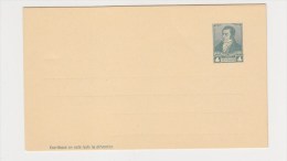 ARGENTINE. ARGENTINA. EP. ENTIER POSTAL. CARTA. TARJETA. - Ganzsachen