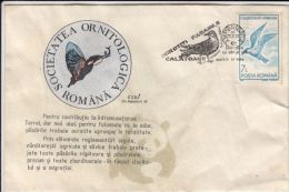 BIRDS, WHISKERED TERN, SPECIAL COVER, 1993, ROMANIA - Marine Web-footed Birds