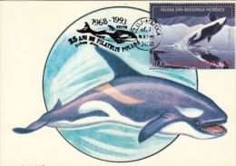 WHALES, KILLER WHALE, ORCA, CM, MAXICARD, CARTES MAXIMUM, 1993, ROMANIA - Baleines