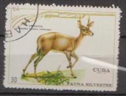 Caribbean Island 1970 -  Deer - Mi.1635 - Used Gestempelt - Usati