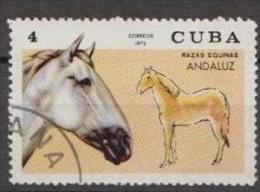 Caribbean Island1972  Horses - Mi.1785 - Used Gestempelt - Oblitérés