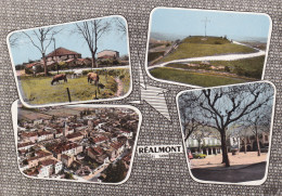 REALMONT (81) - Carte Multi-vues - Realmont