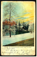 Greiz I. Thüringen  -  Schwanenhaeuschen  -  Fuerstlicher Park Im Winter  -  Ansichtskarte Ca.1910   (2875) - Greiz