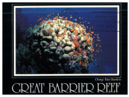 (PH 34)  RTS  Or DLO Postcard - Australia - QLD - Great Barrier Reef - Great Barrier Reef