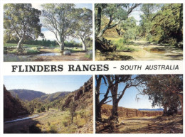 (PH 34)  RTS  Or DLO Postcard - Australia - SA - Flinders Ranges - Flinders Ranges