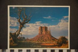 USA    Arizona Monument Valley One Of The Many Spectacular Views In Monument Valley - Other & Unclassified