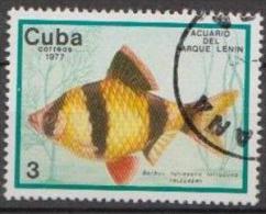 Caribbean Island 1977 - Fish  - Mi.2203 - 1v - Used Gestempelt - Oblitérés