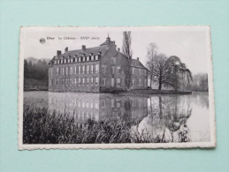 DHUY Le Château ( XVIIe Siécle ) Anno 19?? ( Zie Foto Voor Details ) !! - Eghezee