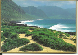 HAWAI View From Ka'ena Ou Kaena Point Sur L'île O'AHU D'O Ou  0'AHU'S - Altri & Non Classificati