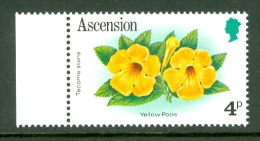 Ascension: 1981/82   Flowers   SG285A     4p        MNH - Ascensión