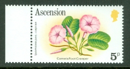 Ascension: 1981/82   Flowers   SG286A     5p        MNH - Ascension (Ile De L')