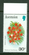 Ascension: 1981/82   Flowers   SG292A     30p        MNH - Ascension (Ile De L')