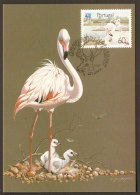 Portugal 1991 Flamant Carte Maximum Portugal Flamingo 1991 Maxicard - Fenicotteri