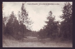 Arboretum De NOTRE DAME AU BOIS - Prairie Elisabeth   // - Overijse