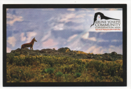 Fre211 Freecard Africa, Mount Abuna Yosef, Community Conservation Area, Ethiopia Highlands, Wildlife, Animale Selvatico - Ethiopie