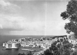 ¤¤  -   DUBROVNIK    -  Vue Générale    -  ¤¤ - Yugoslavia