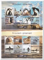 Brits Antarctica Postfris MNH, Frozen Planet - Unused Stamps