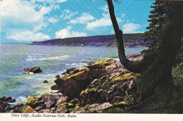 Otter Cliffs Acadia National Park Maine - USA National Parks