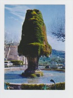 83 - BARJOLS - La Fontaine - Arbre  - 3.27.75.0704 Cim - Barjols