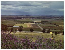 (PH 25) Australia - SA - Tanunda Valley - Barossa Valley