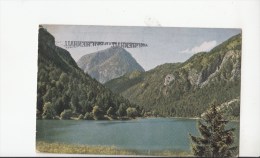 B80041 Bad Reichenhall Thumsee Mit Ristfeuchthorn Germany  Front/back Image - Bad Reichenhall