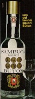 # SAMBUCA BUTON 1960s Advert Pubblicità Publicitè Reklame Food Drink Liquor Liquore Liqueur Licor Alcohol Bebidas - Afiches