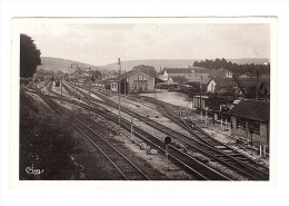 CP DELLE DPT 90 - Gare Frontière - - Delle