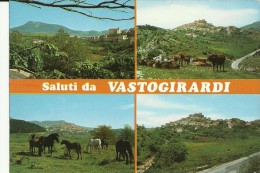 VASTOGIRARDI - ISERNIA - Isernia