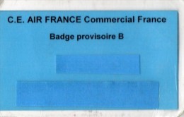 AIR FRANCE  Badge  Self D'Entreprise - Sonstige & Ohne Zuordnung