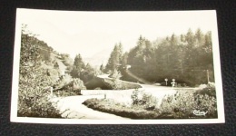 Masif Des Bauges - Le Châtelard - ( Savoie ) - Pont D'escorchevel Sur Le Chéran - Le Chatelard