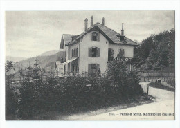 Neuchatel - Pension Sylva. Montmollin - Montmollin