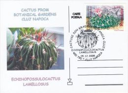 CACTUSS, CM, MAXICARD, CARTES MAXIMUM, 2005, ROMANIA - Cactus